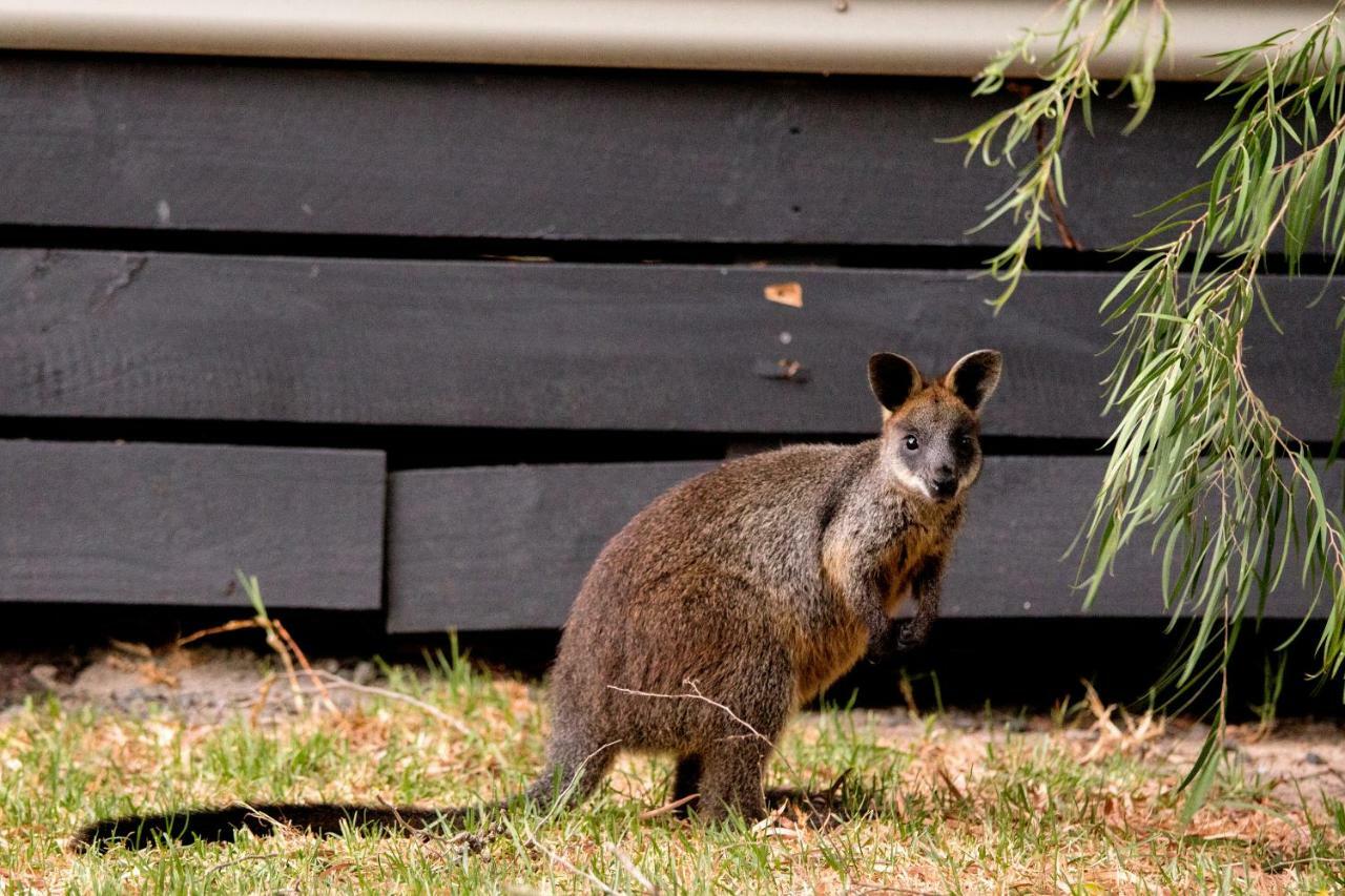 Big4 Ingenia Holidays Phillip Island Newhaven Bagian luar foto