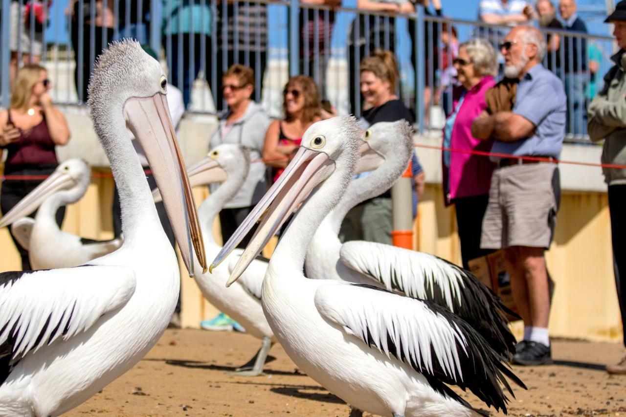 Big4 Ingenia Holidays Phillip Island Newhaven Bagian luar foto